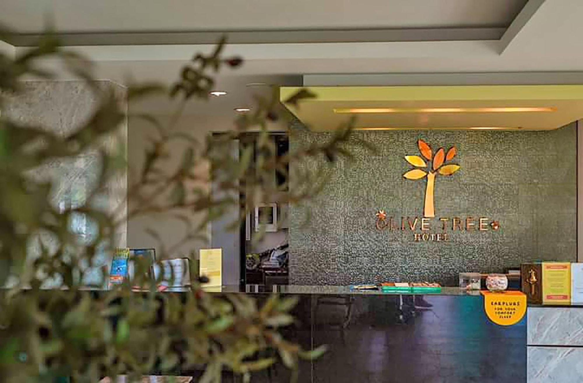 נה ג'ומטיין Olive Tree Hotel Pattaya מראה חיצוני תמונה